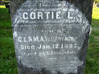 VanAntwerp, Cortie L